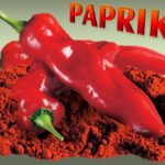paprika-hongrois-10-kg