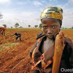 famille agriculture