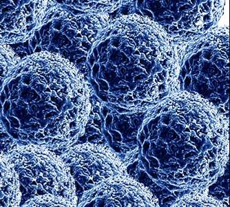 nanoparticules et alimentation