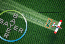 Bayer Monsanto, une menace pour l’environnement Monsanto Bayer