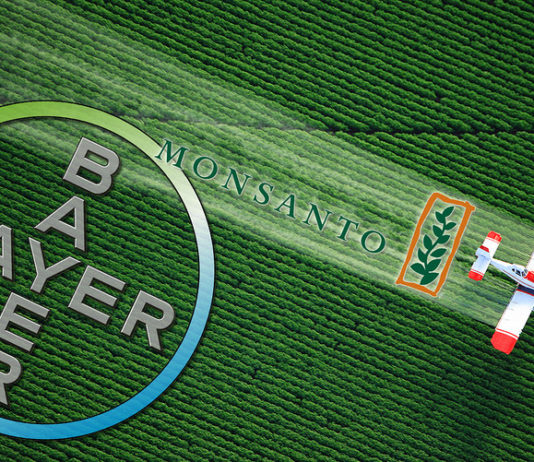 Bayer Monsanto, une menace pour l’environnement Monsanto Bayer