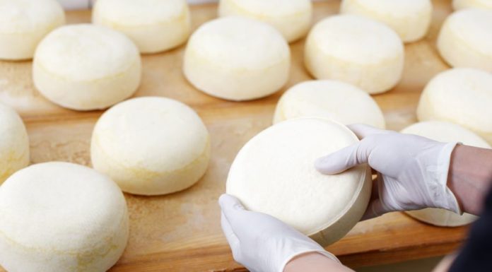 fromage regle hygiene
