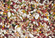 Alimentation, les nouveaux conseils pour bien manger feculents