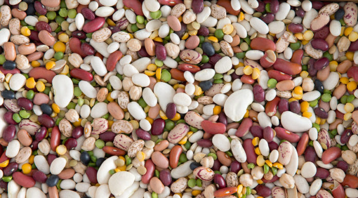 Alimentation, les nouveaux conseils pour bien manger feculents