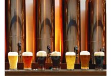 brasserie biere artisanale