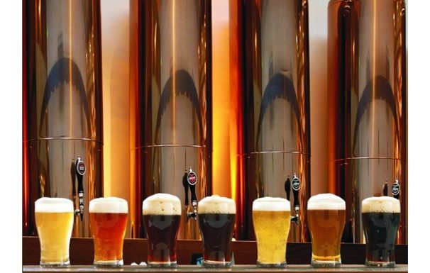 brasserie biere artisanale