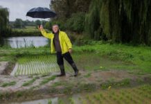 riz experience Bretagne