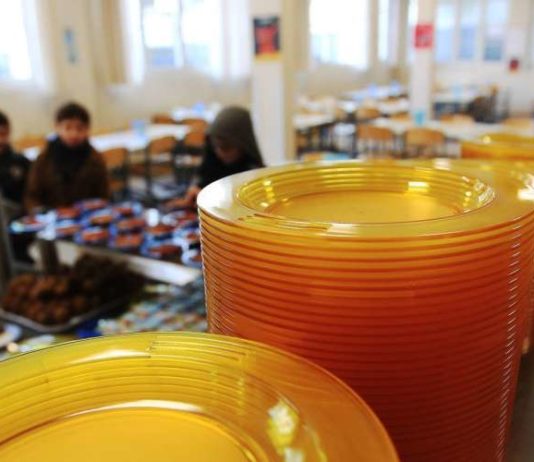Vaisselle plastique dans les cantines : le risque vaisselle plastique cantines