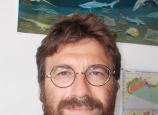 Tristan Rouyer Popstar