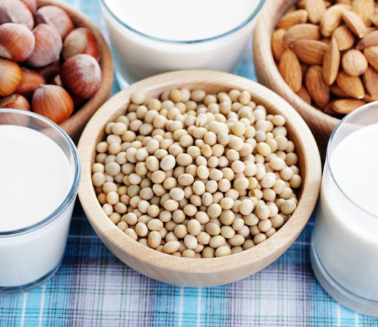 lait boissons vegetales