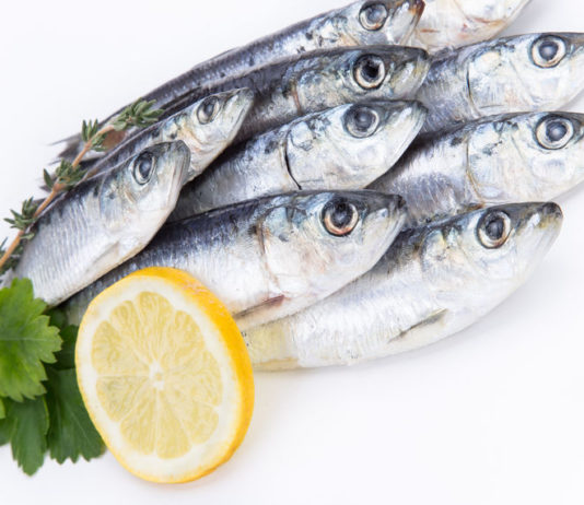 sardines poisson