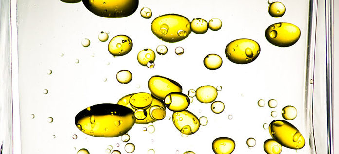 Comprendre le cholestérol pour le combattre graisses cholesterol