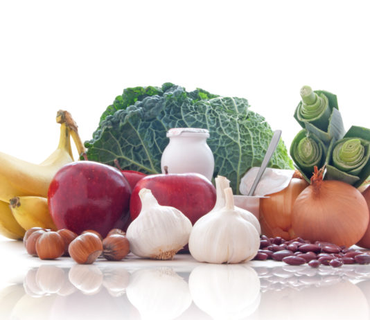fibres vegetaux prebiotiques