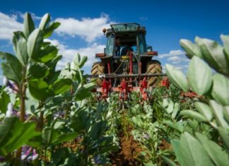 culture autre methode