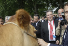 Etats généraux de l’alimentation : de grosses ambitions etats generaux alimentation macron
