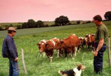 agriculture