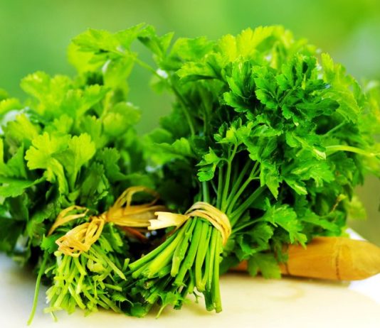 Les bienfaits de la coriandre coriandre aide digestion