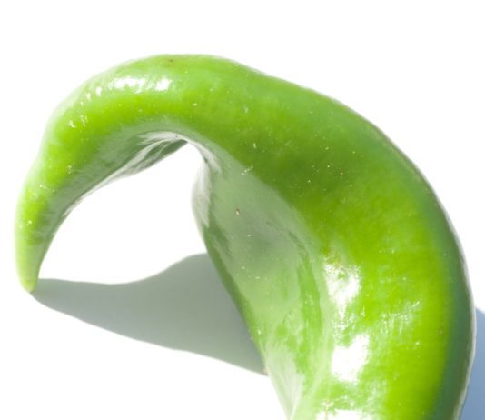 Les aliments bio : pas plus nutritifs mais plus sûrs aliments bio