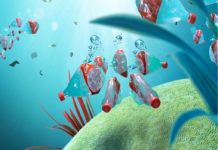 bouteilles eau plastique