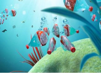 bouteilles eau plastique