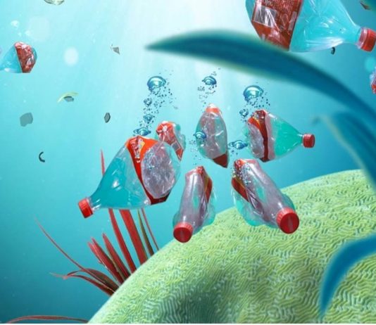 bouteilles eau plastique