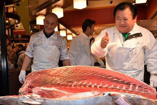 thon rouge Pacifique