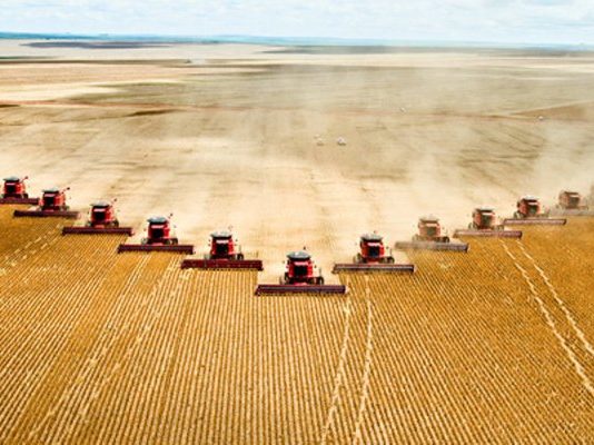 Ce qu’il faut savoir sur le glyphosate glyphosate herbicides