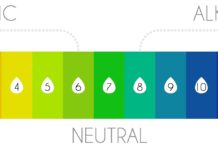 Acide-basique, une autre forme d’équilibre nutritif acide basique