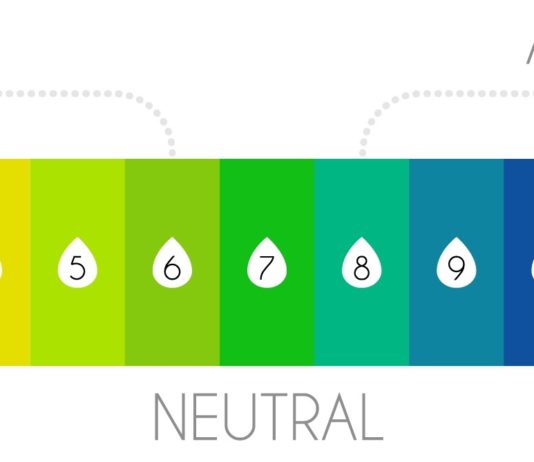 Acide-basique, une autre forme d’équilibre nutritif acide basique