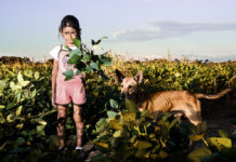 Le glyphosate en Argentine, la contamination soja OGM et glyphosate