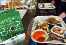 bio écoles cantines