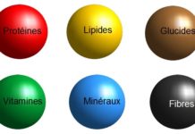 macronutriments
