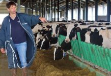 ferme des 1000 vaches