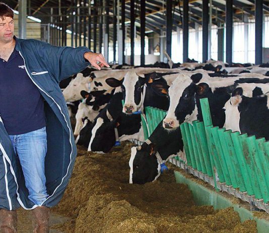 ferme des 1000 vaches