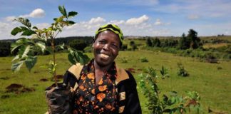 femmes agriculture monde