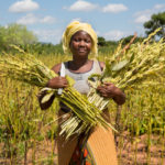 femmes agriculture