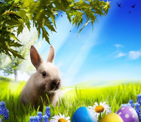 oeufs de Pâques fête