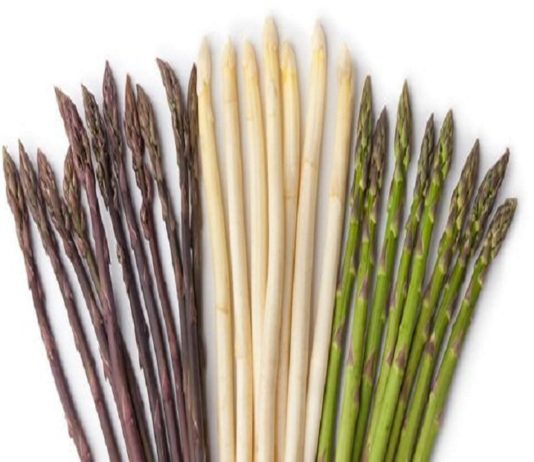 Asperges : les reconnaître et les choisir asperges couleur