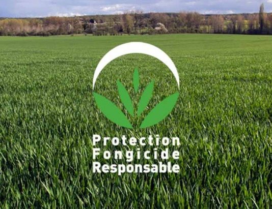 fongicides et cancer