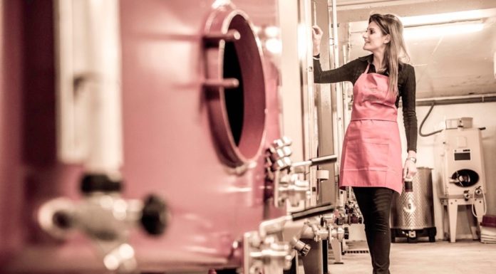 Vigneronnes en Champagne