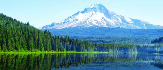 La klamath, une microalgue nutritive klamath microalgue