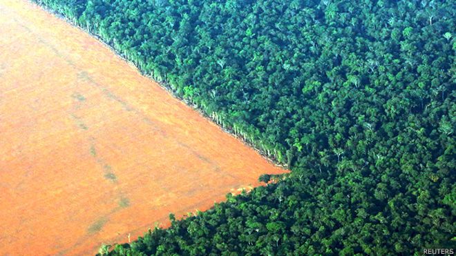 déforestation Brésil