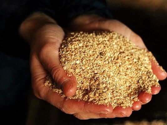 soja tourteaux proteines