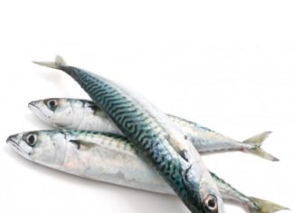 Poisson durable ou non durable poisson peche durable