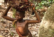 cacao Côte d'Ivoire enfants