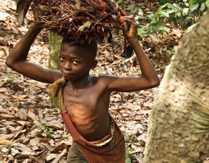 cacao Côte d'Ivoire enfants