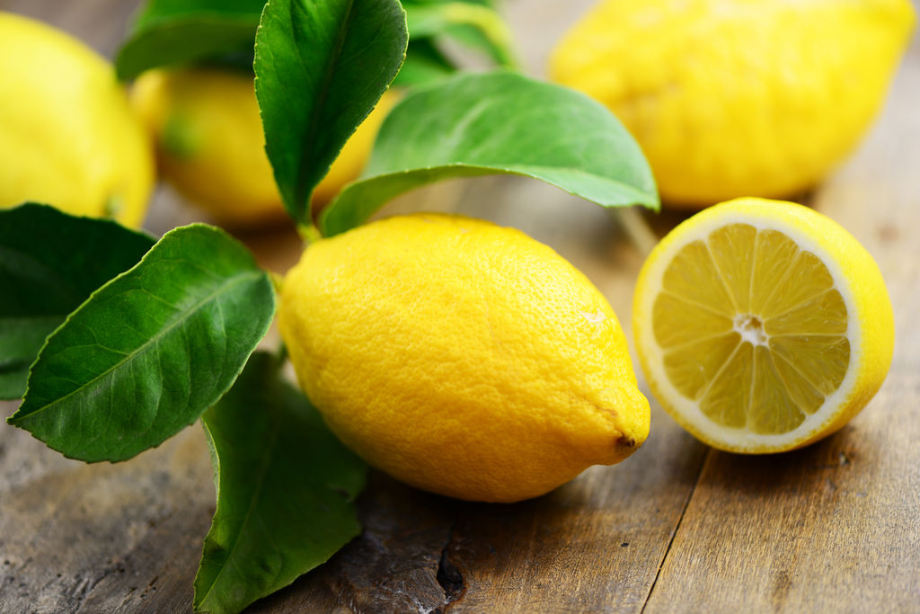 citron digestion