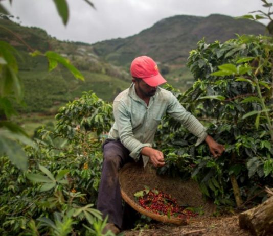 rechauffement adaptation cultures