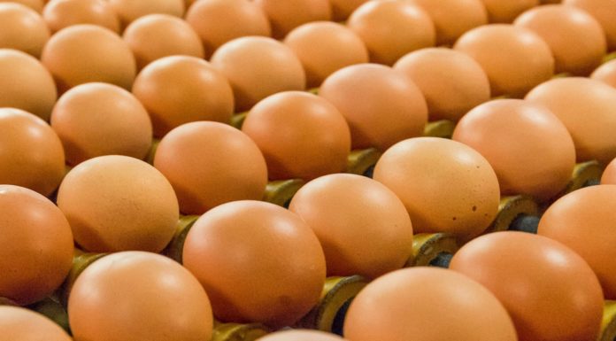 oeufs santé cholestérol