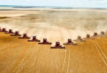 biodiversité et agriculture